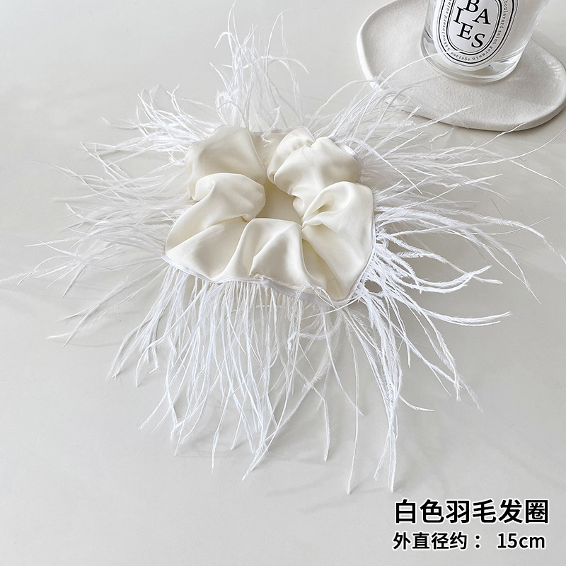 Feather grab clip, female ostrich hair clip, back of the head, autumn and winter hair accessory, high-end clip, 2023 new style, furry shark clip Application Scenario