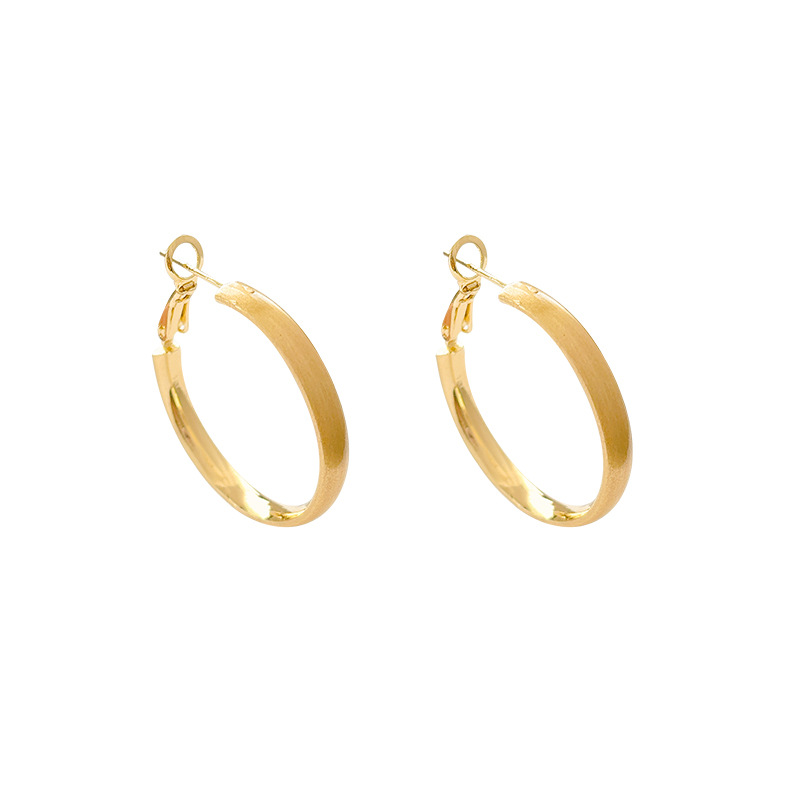 Brushed metal plain ear rings, a unique, exquisite and fashionable, versatile earring and accessory for women's cold style on Instagram Item Picture