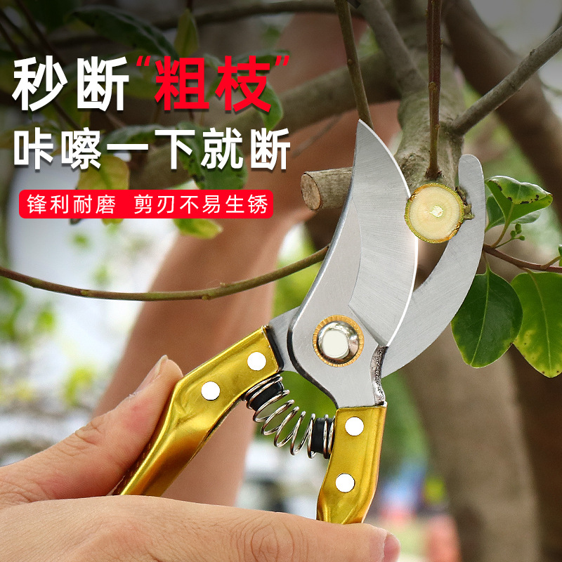 Garden pruning shears, flower pruning shears, fruit tree shears, branch pruning shears, powerful flower pruning shears, garden shears Specification drawing