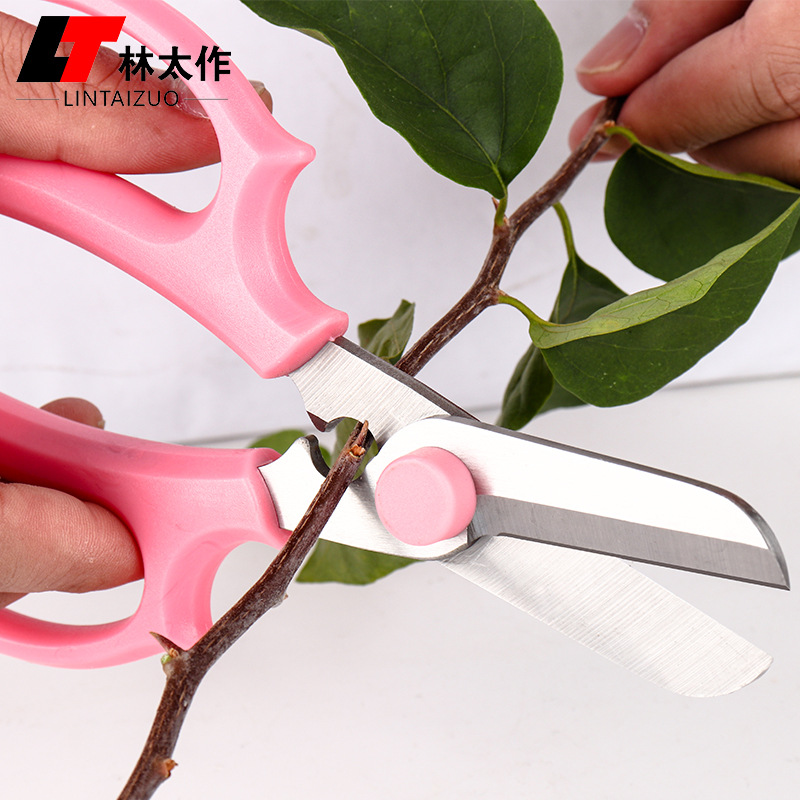 Gardening and floral art scissors, flower trimming scissors, fresh flower arrangement scissors, household scissors for flowers and plants, flower branches, special tools for flower shops, flower arrangement scissors Specification drawing