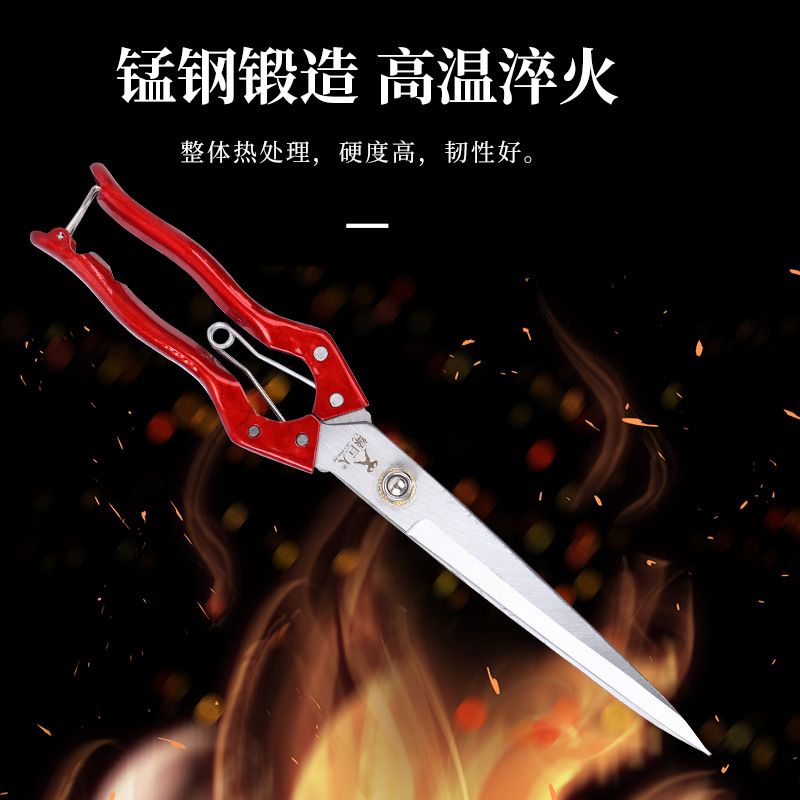 Factory wholesale manganese steel cattle and wool shears, North American household agricultural spring manual livestock straight head scissors, leather scissors Application Scenario