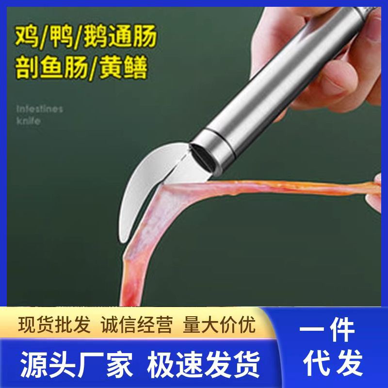 Stainless steel intestinal knife, professional poultry intestinal knife, chicken intestinal knife, duck intestinal knife, fish breaking, eel killing, loach intestinal opening tool full figure