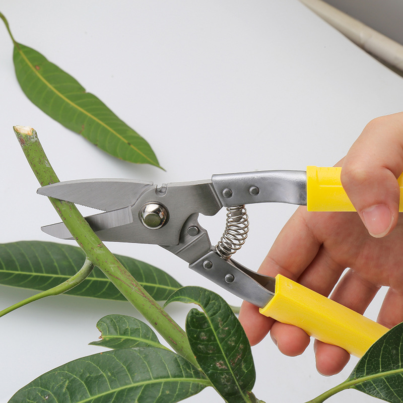 Iron sheet scissors, garden scissors tools, industrial-grade American multi-purpose strong stainless steel scissors, garden fruit-picking scissors Application Scenario