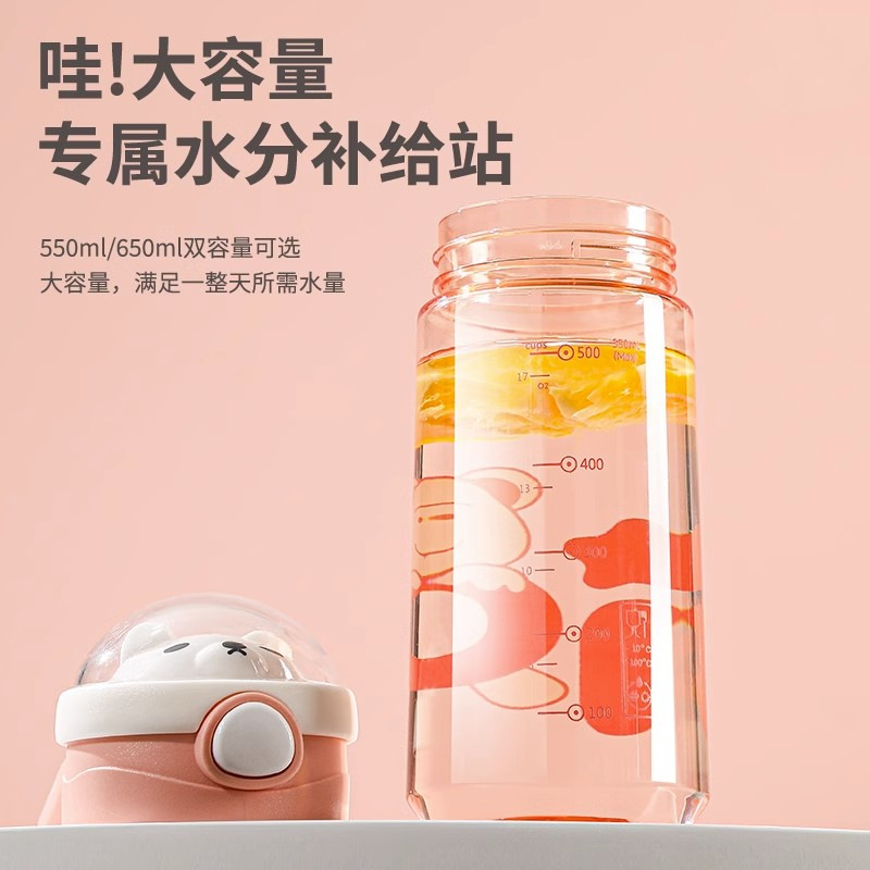 The new summer water cup features a high level of appearance, is shockproof and leak-proof, and is suitable for adult drinking with a straw, a water bottle, and a cartoon large-belted straw cup Application Scenario
