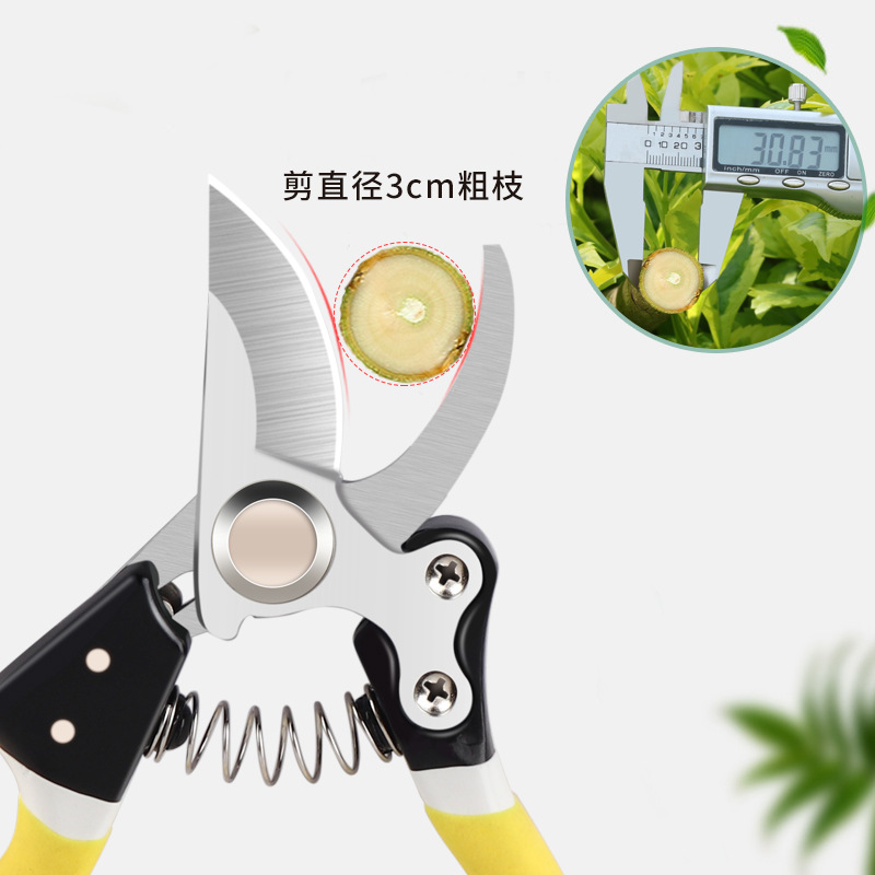 Lin Tai makes scissors, garden fruit tree pruning shears, zinc-aluminum alloy SK5 thick branch garden shears, flower branch fruit picking shears Application Scenario