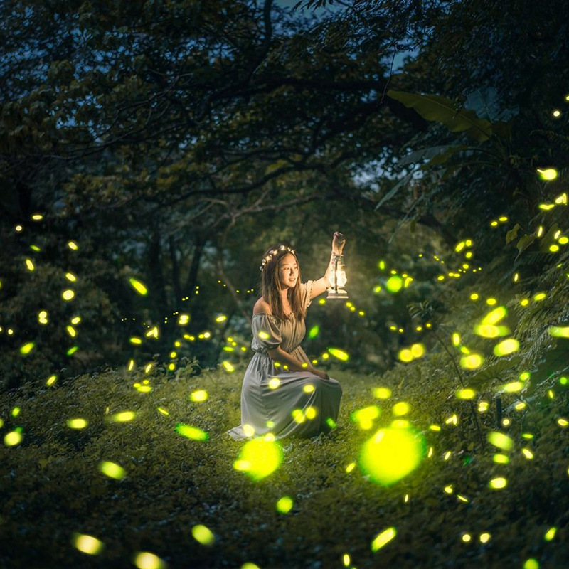 Cross-border best-selling lawn lights, simulated firefly projection lights, garden laser lights, outdoor waterproof garden campsite sockets Specification drawing