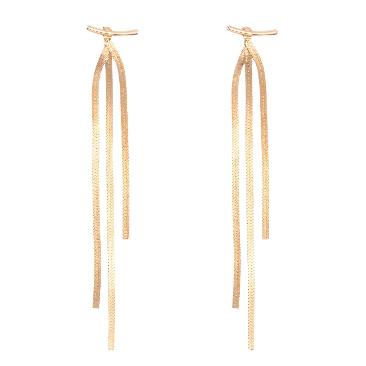 The popular tassel earrings in Europe and America, featuring a simple and ins-style design for women, long snake-bone chain earrings, and a wholesale trend of trendy earrings Item Picture