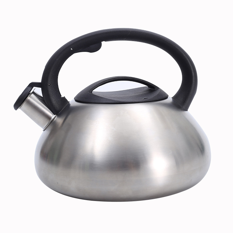 Biyou stainless Steel Sound kettle, European-style coffee and tea brewing sound kettle, cross-border classic thickened Item Picture