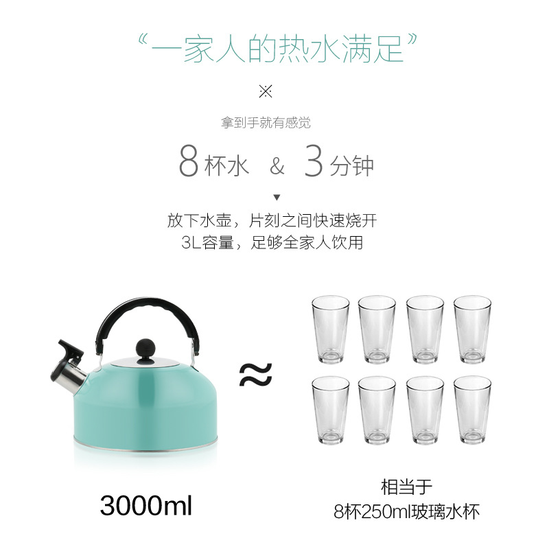 Stainless steel Mingyin kettle, creative color 410 material Mingyin kettle, household induction cooker, gas stove kettle details Picture