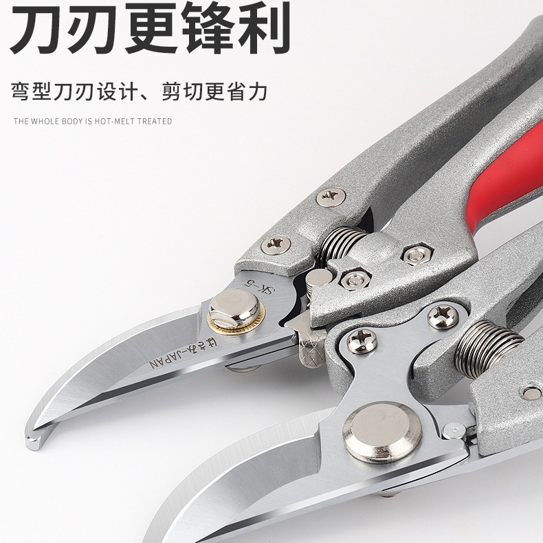 Lin Tai's zinc alloy garden scissors SK5 stainless steel large-diameter pruning shears for flower branches and fruit trees, as well as artistic garden scissors Application Scenario