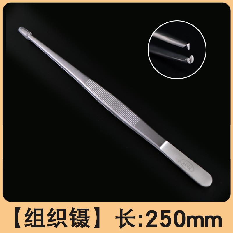 Stainless steel forceps, thickened and hardened, toothed dressing forceps, tissue forceps, ophthalmic forceps, dressing forceps, extended clamp forceps undefined