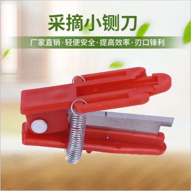 Thumb picking knife, leaf and vegetable picking tool, small guillotine knife, cucumber, green bean, grape pinching, tip and fork knife full figure