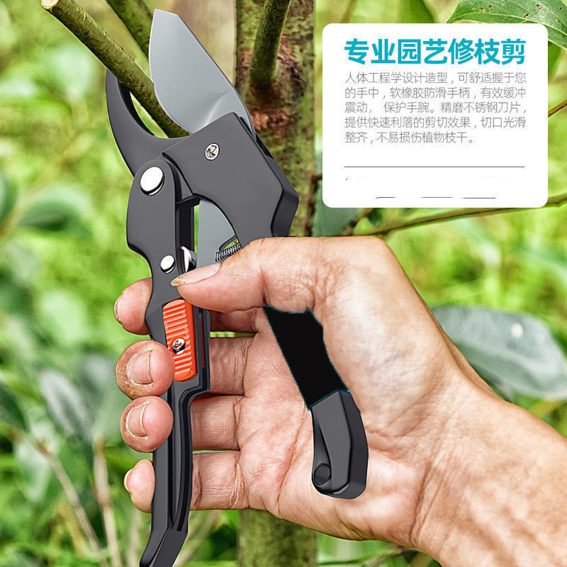 German original imported SK5 garden shears, garden flower pruning shears, tree shears, fruit tree shears Item Picture