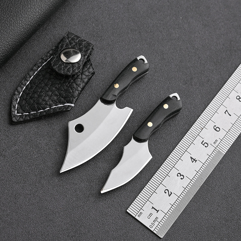Stainless steel portable mini knife, a perfect tool for opening express deliveries, keychain knife, fruit peel knife, and small fish knife Application Scenario