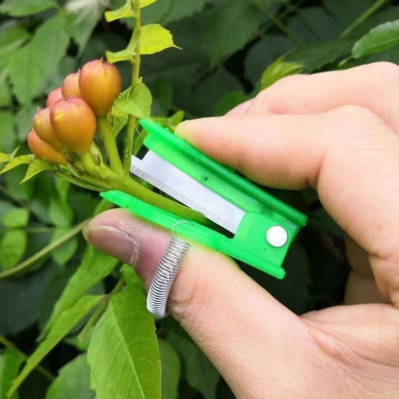 Thumb picking knife, leaf and vegetable picking tool, small guillotine knife, cucumber, green bean, grape pinching, tip and fork knife Specification drawing