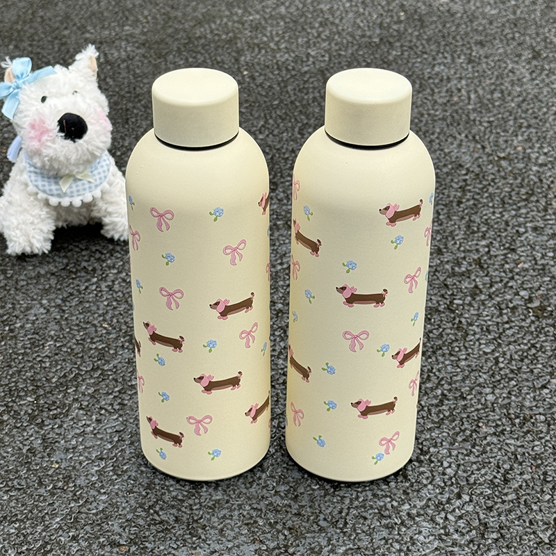 The 2024 new model insulated cup is a large-capacity water cup specially designed for girls and students to go to school. It is a portable and exquisite stainless steel cup Application Scenario