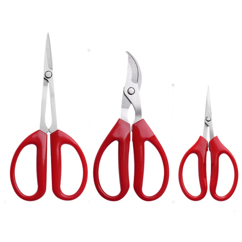 Stainless steel grape and strawberry fruit pickers, anti-slip garden vegetable and fruit potted plant leaf scissors, garden fruit tree grafting scissors Item Picture