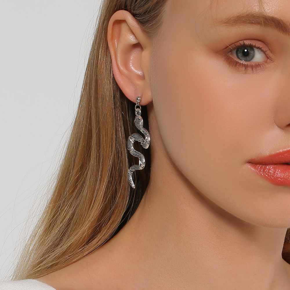 Wholesale of 2021 new trendy and creative exaggerated snake-shaped earrings, European and American retro alloy long earrings that are popular on the Internet full figure