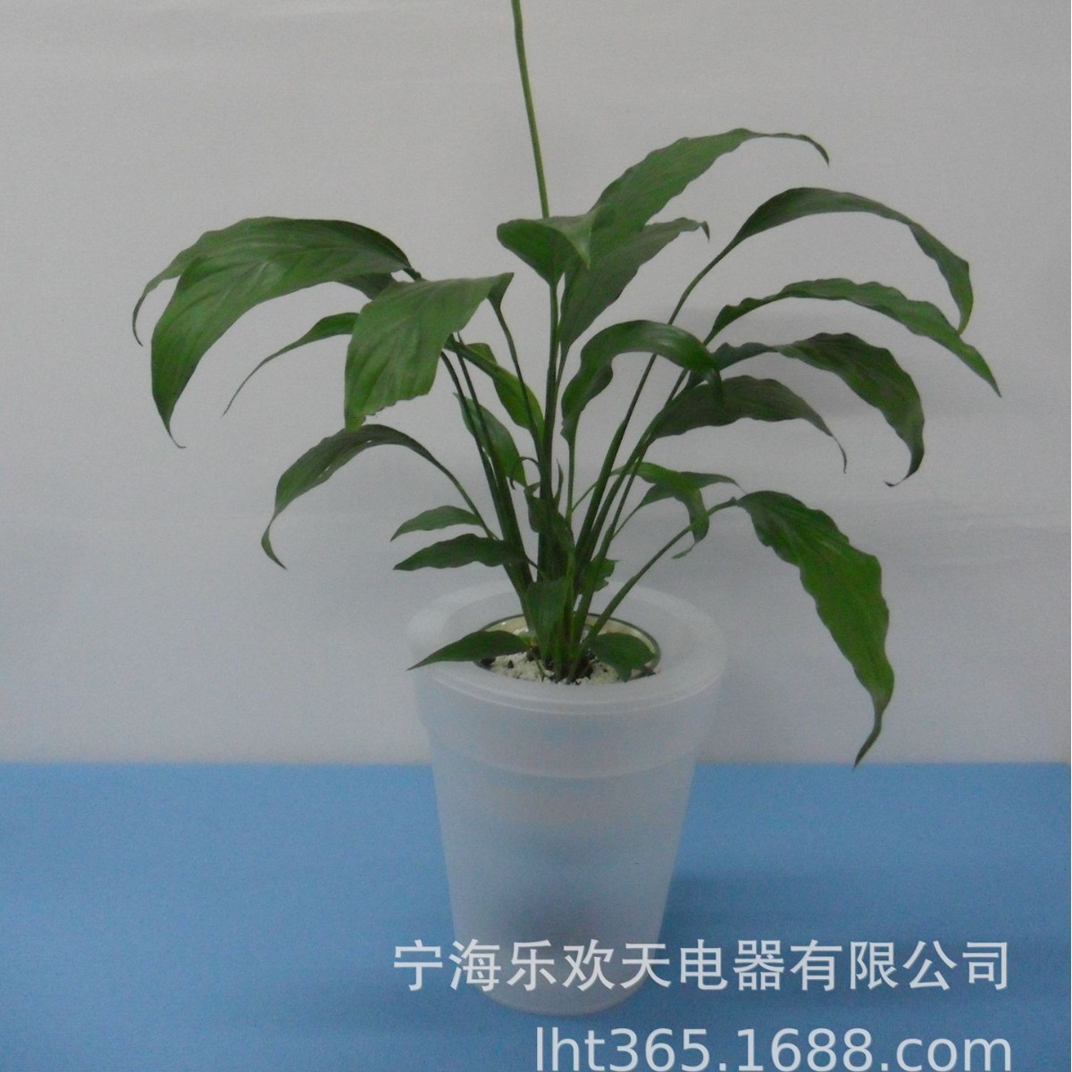 Factory direct sales/retail of solar flower pot lights /LED flower pot light control Specification drawing