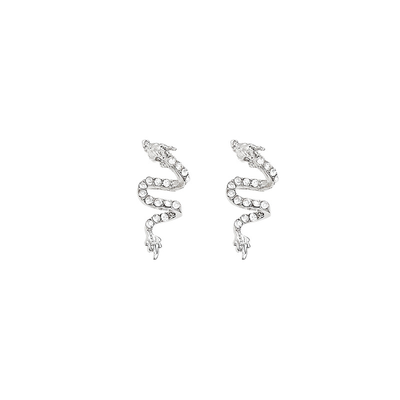 "Born in the Year of the Dragon, Soaring Earrings for Women, 2024 New unique design, high-end and exquisite Zircon earrings wholesale. Item Picture