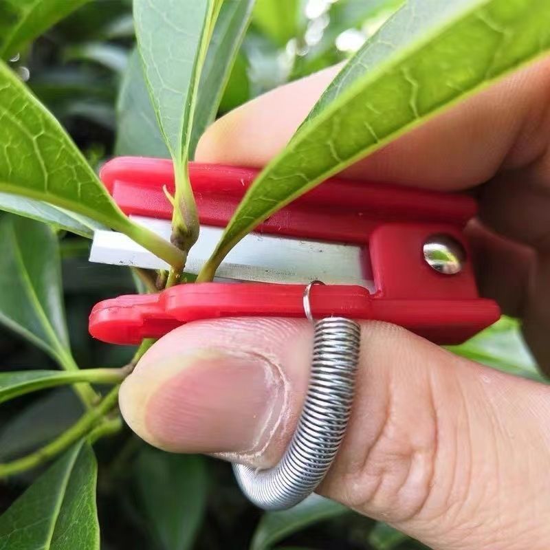 Thumb picking knife, leaf and vegetable picking tool, small guillotine knife, cucumber, green bean, grape pinching, tip and fork knife details Picture