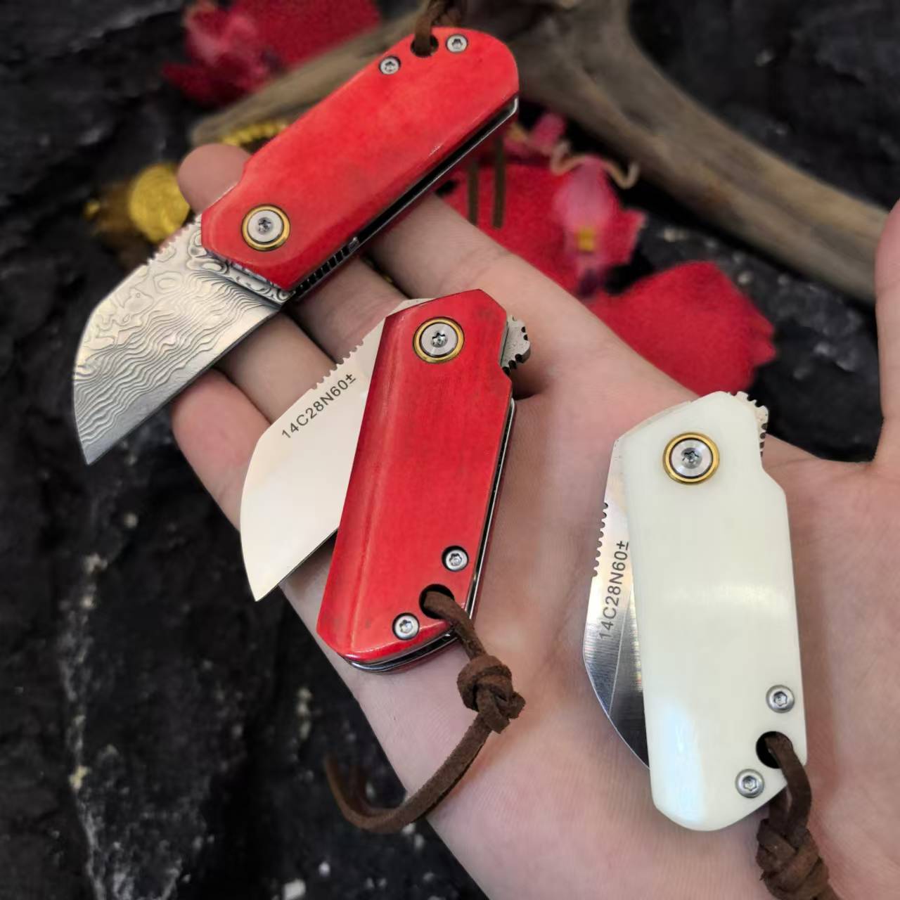 Sandvik Steel Cloud Bean Outdoor portable folding high-hardness keychain Mini sharp folding knife details Picture