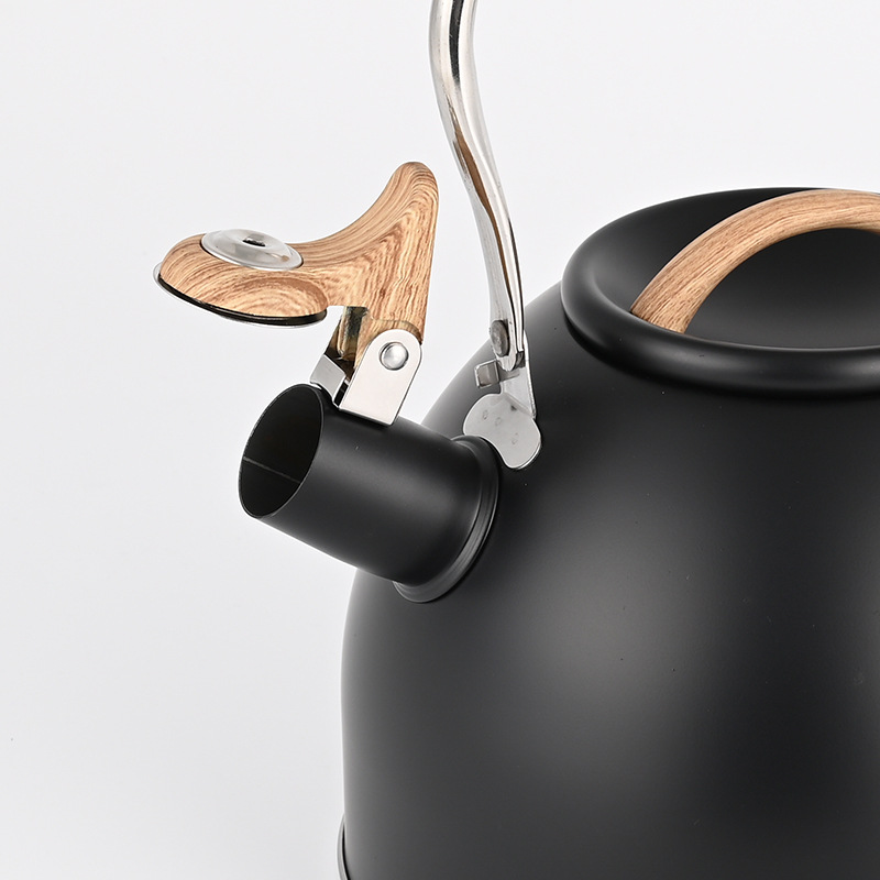 3-liter thickened stainless steel sounding kettle, hemispherical sounding induction cooker and gas stove kettle details Picture
