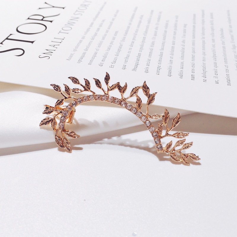 Cross-border new earrings: Elegant leaf diamond-encruted stud earrings, women's creative single, bold and exaggerated ear hooks and ear clips Specification drawing