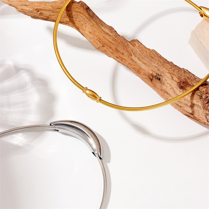 This is a unique and high-end titanium steel round plain ring necklace with exquisite European and American fashion and niche design details Picture