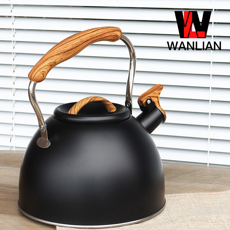 Cross-border Amazon stainless steel whistling kettle for brewing coffee and milk, 3L large capacity whistling kettle full figure