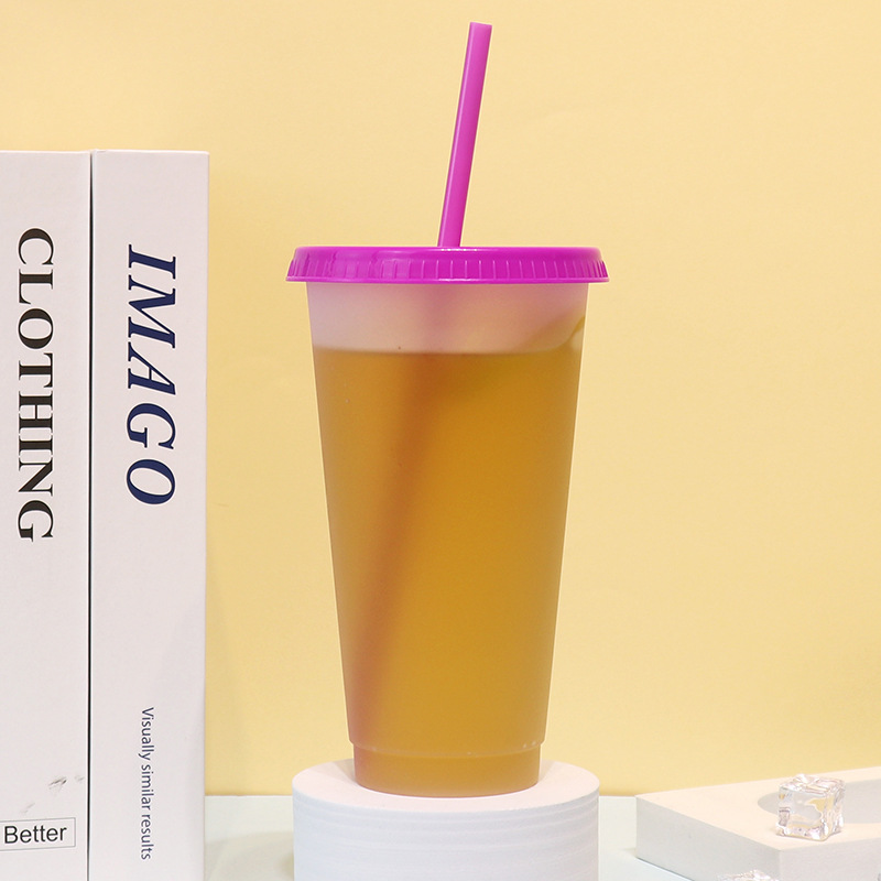 New creative straw water cup, cross-border PP plastic cup, portable heat-insulating outdoor cold drink milk tea cup manufacturer wholesale Application Scenario