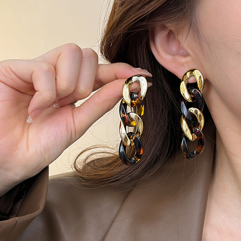 Retro chain leopard print earrings for women, 2024 new style, high-end autumn and winter, European and American style stud earrings, versatile earrings and earrings Application Scenario