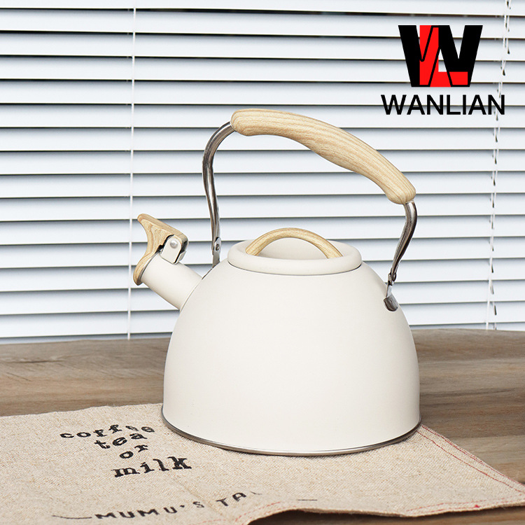 Cross-border Amazon stainless steel whistling kettle for brewing coffee and milk, 3L large capacity whistling kettle details Picture