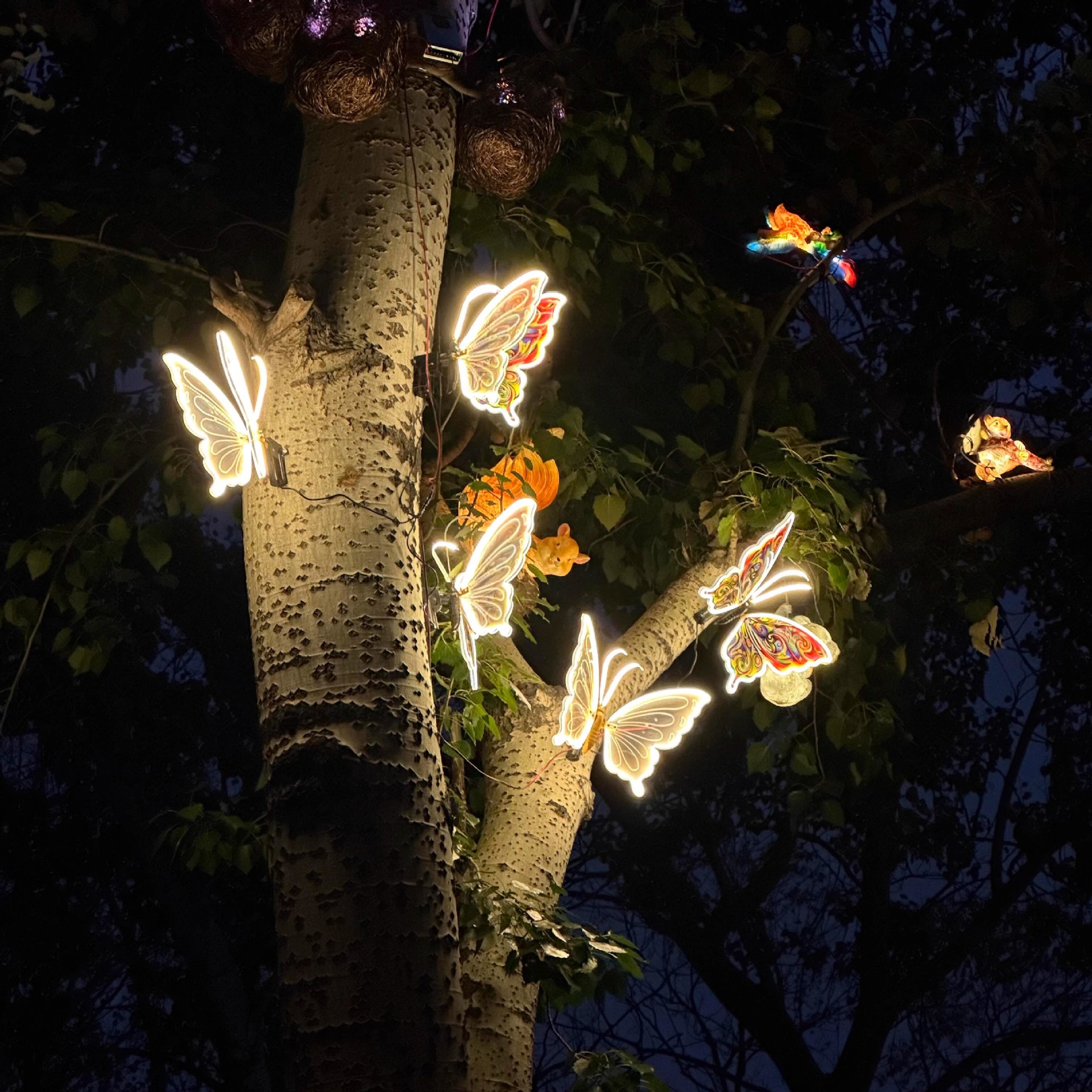 led Chinese-style butterfly lights, outdoor waterproof colored lights, night scene atmosphere lights, decorative hanging tree lights, illuminated butterfly landscape lights Item Picture