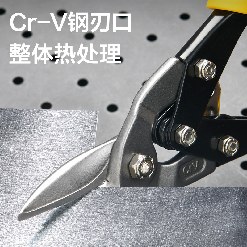 Deli Tools Industrial-grade aviation shears for iron sheets and steel wires, straight cut/left cut/right cut, 10 inches DL20030 1 2 details Picture