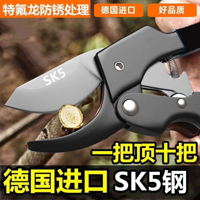 German original imported SK5 garden shears, garden flower pruning shears, tree shears, fruit tree shears details Picture