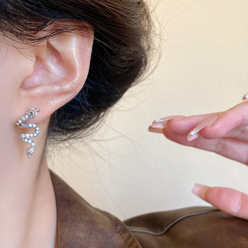 "Born in the Year of the Dragon, Soaring Earrings for Women, 2024 New unique design, high-end and exquisite Zircon earrings wholesale. Application Scenario