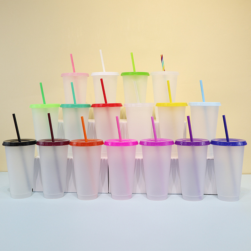 New creative straw water cup, cross-border PP plastic cup, portable heat-insulating outdoor cold drink milk tea cup manufacturer wholesale full figure