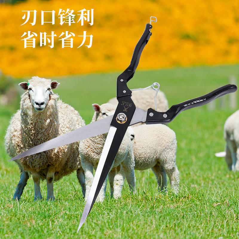 Factory wholesale manganese steel cattle and wool shears, North American household agricultural spring manual livestock straight head scissors, leather scissors details Picture