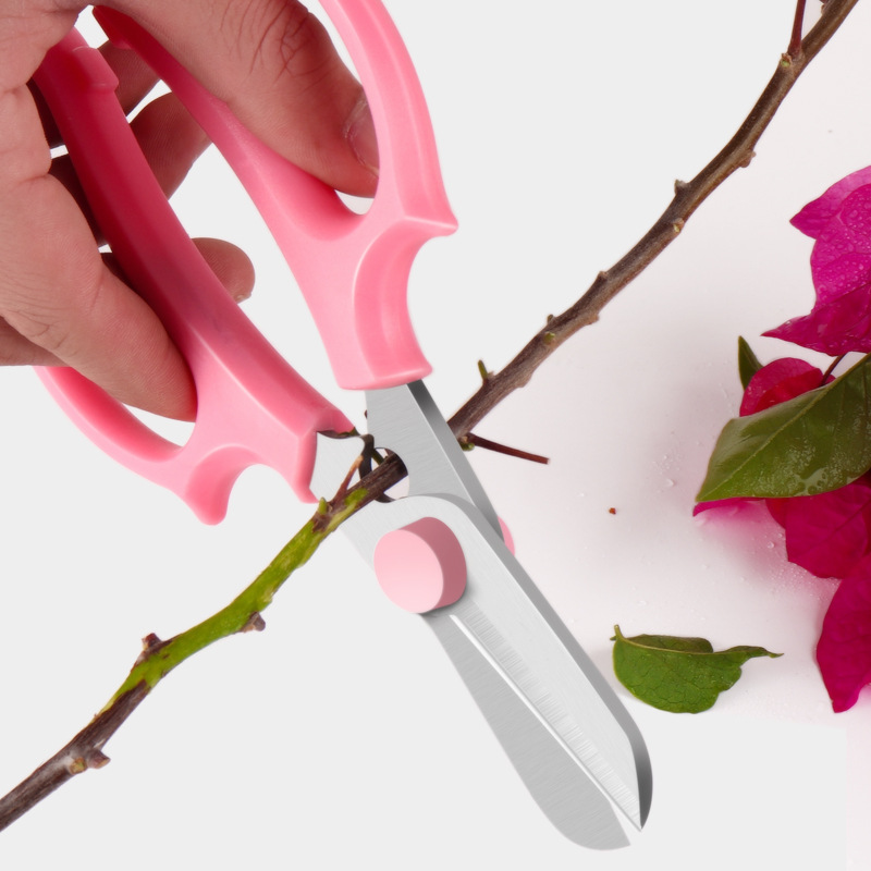 Lin Taizuo scissors, powerful garden, horticulture, floral art, rare fruit pruning scissors, garden tools, garden greening scissors Specification drawing