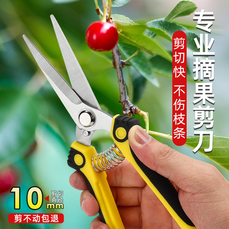 Fruit tree scissors, pruning scissors, branch trimming scissors, powerful flower pruning scissors, garden scissors, flower and garden fruit picking scissors Specification drawing