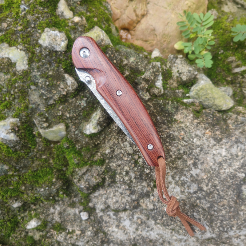 Carry a cross-border Damascus steel folding knife with you for outdoor camping Application Scenario