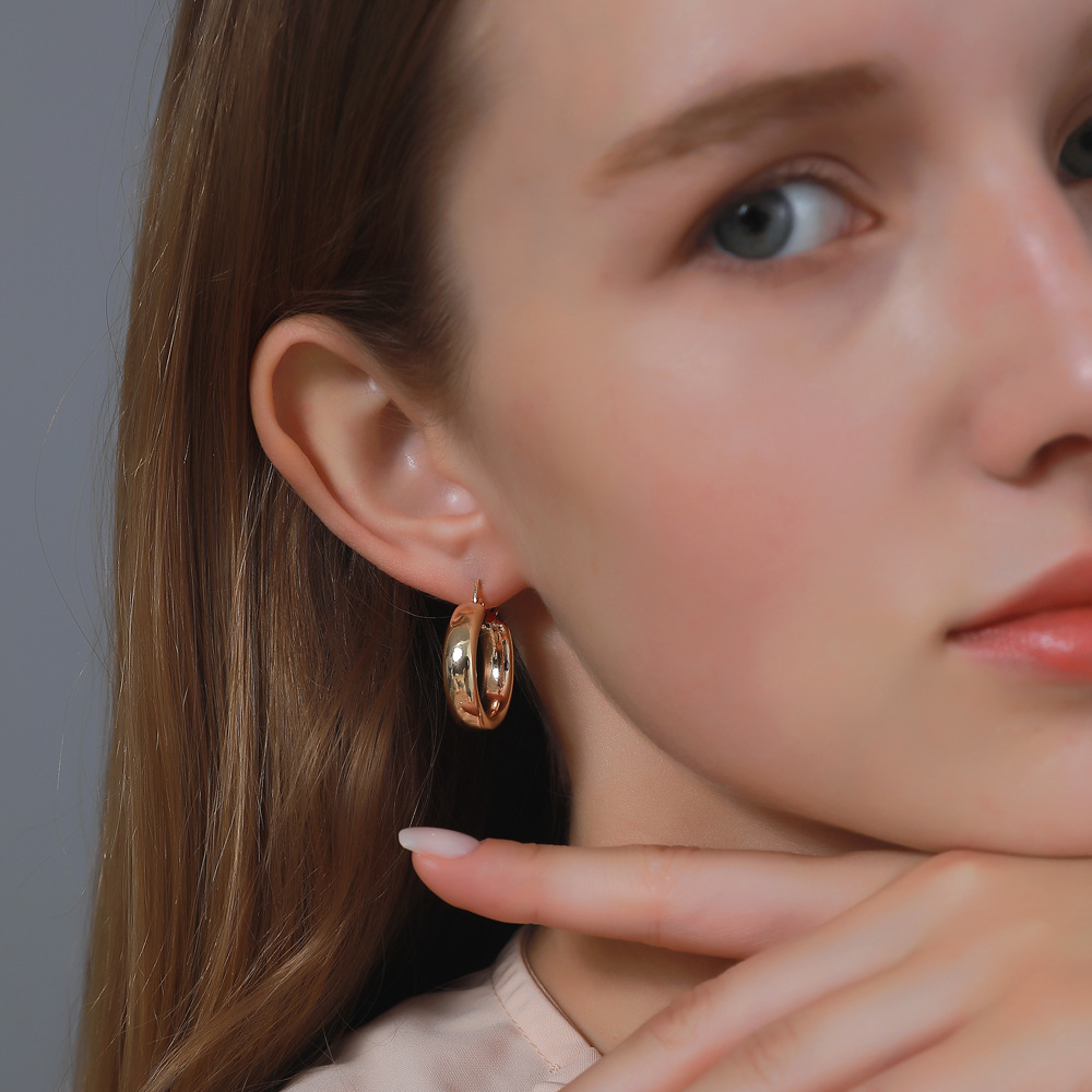 European and American InS-style round earrings for women, retro and simple alloy geometric ear rings, punk rock hip-hop street earrings full figure