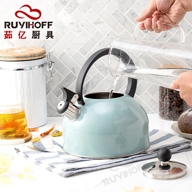 European and American kitchenware flat-bottomed sounding water kettle, 2.5L Amazon sky blue spray-painted sounding water kettle for boiling tea and coffee Application Scenario