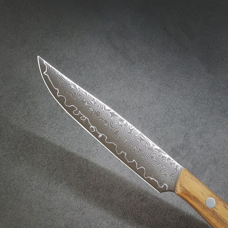 67-layer forged Damascus steel steak knife, sharp fruit knife, hand-held meat knife, boning knife, household divider knife details Picture