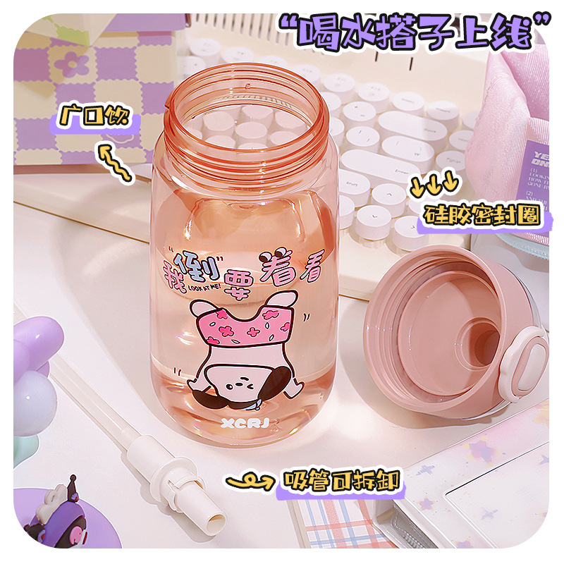 Wholesale of new cartoon straw cups, portable and compact water cups for students, and plastic cups with spring LIDS for girls to go to school Application Scenario