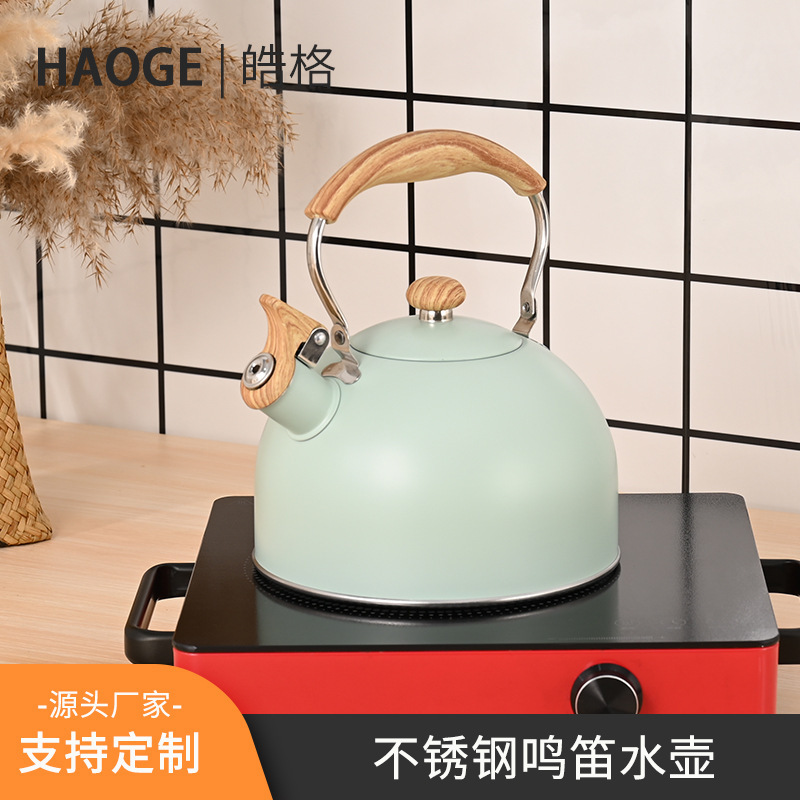 2.5-liter cross-border new product induction cooker, universal stainless steel kettle for coal and gas, off-white stainless steel kettle with a whistle full figure