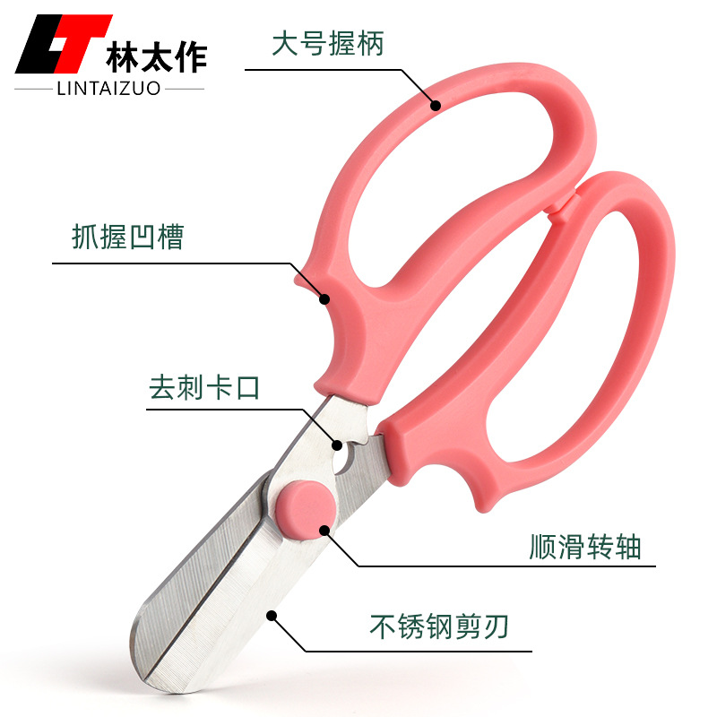 Gardening and floral art scissors, flower trimming scissors, fresh flower arrangement scissors, household scissors for flowers and plants, flower branches, special tools for flower shops, flower arrangement scissors Application Scenario