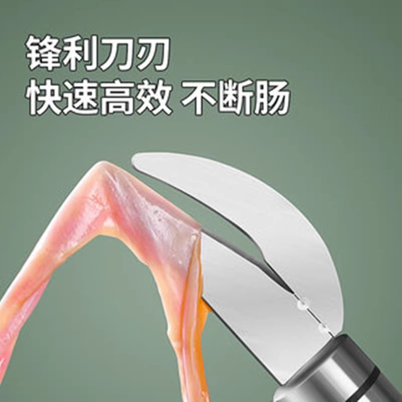 Stainless steel intestinal knife, professional poultry intestinal knife, chicken intestinal knife, duck intestinal knife, fish breaking, eel killing, loach intestinal opening tool details Picture
