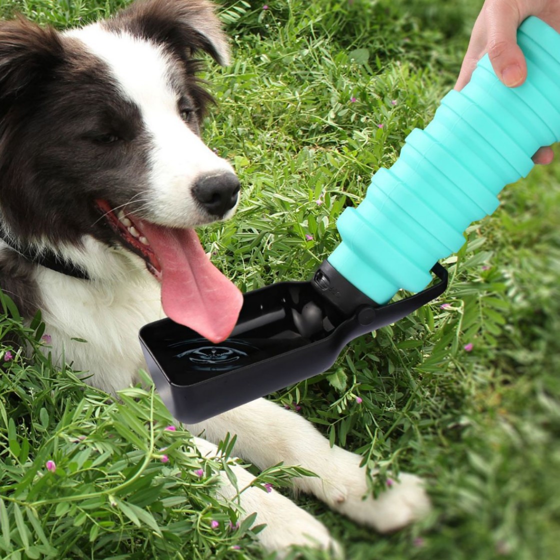 Outdoor products, dog water bottle, silicone foldable, portable pet water dispenser for walking dogs full figure